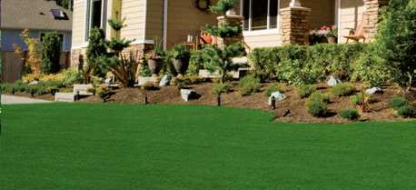 Image of a beautiful green lawn in front of a house